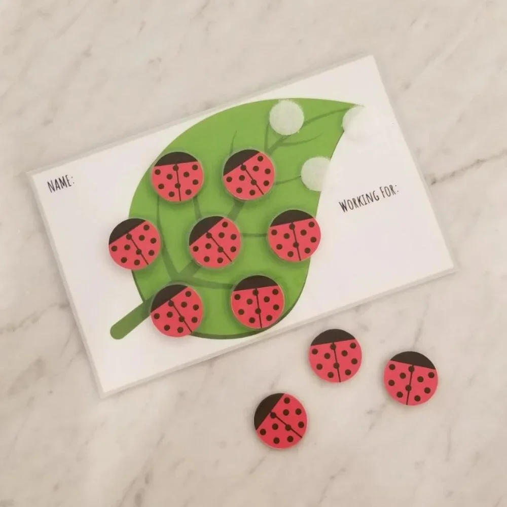 Lady Bug Reward Chart, Token Board, Chore Chart